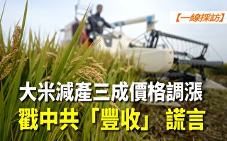 【一线采访视频版】大米减产三成价格调涨 戳中共“丰收”谎言