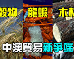 【澳洲新闻热点11.3】利息降至0.1% 历史低点