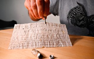法国夫妇发现时间胶囊 内藏百年前飞鸽传书