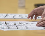 威斯康星州部分选区投票率异常高