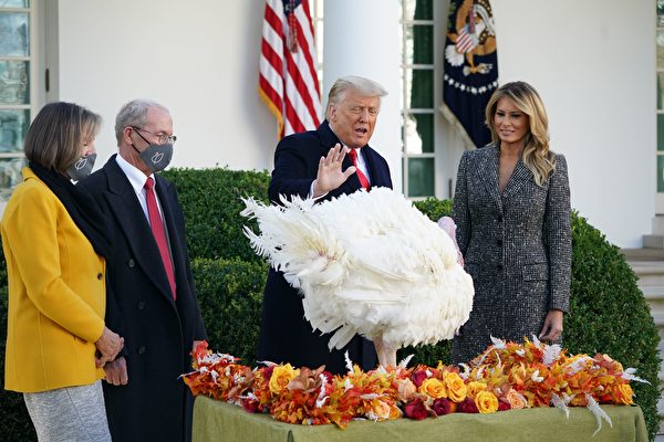 组图：川普与夫人出席感恩节赦免火鸡仪式