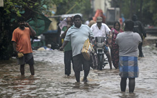 組圖：旋風尼瓦爾侵襲印度 數十萬人撤離