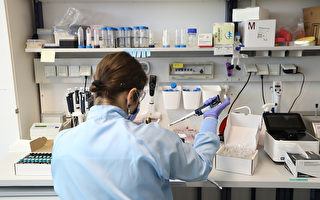 德國病毒檢測過多 化驗室飽和 專家喊停