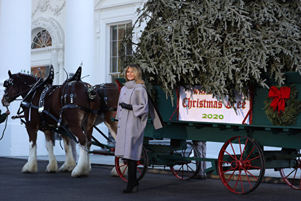 組圖：美國第一夫人在白宮迎接聖誕樹