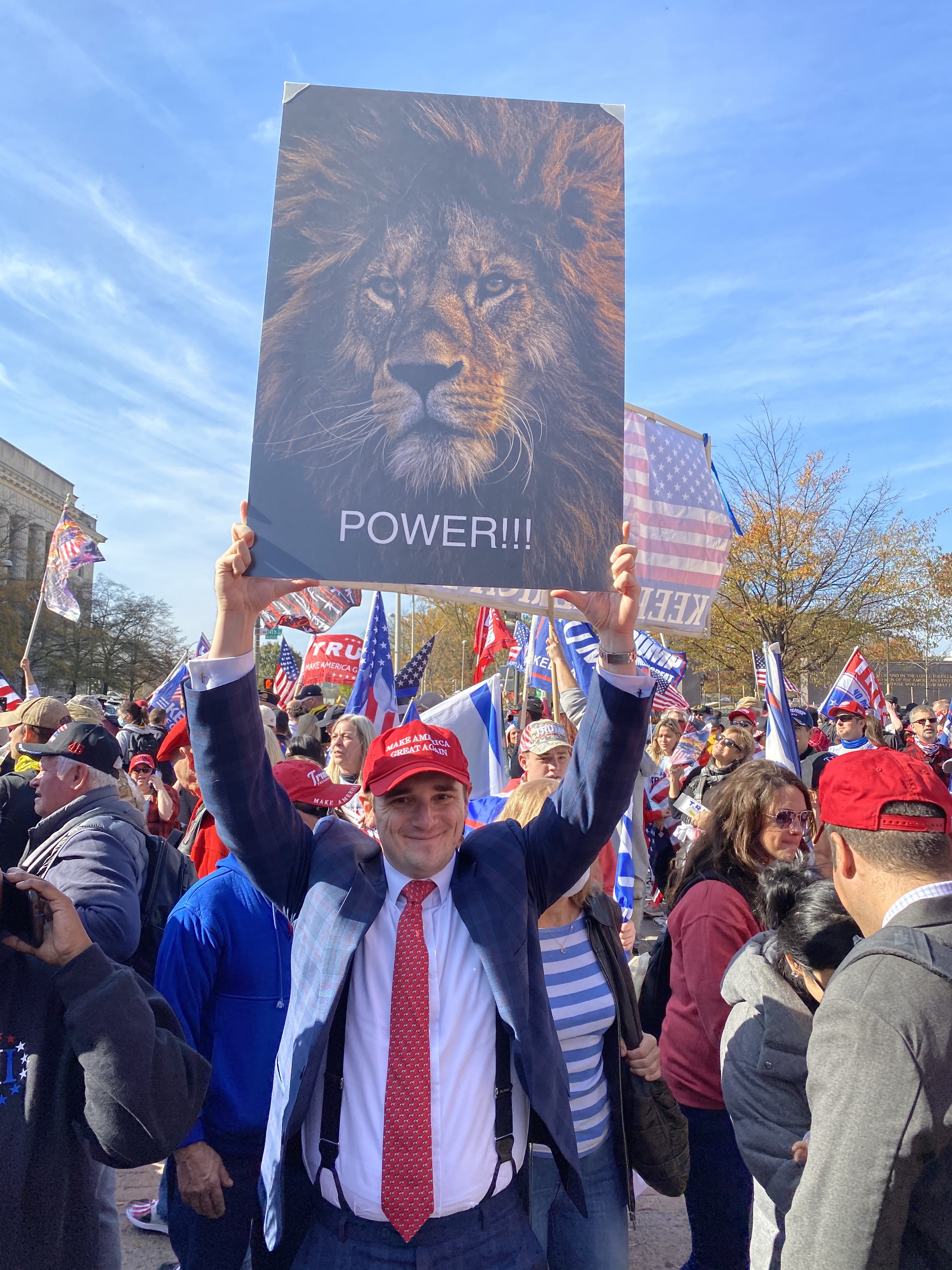 11月14日，美国各州民众在美国首都华盛顿DC举行挺川普大游行，民众举着“狮子王”的海报。(施萍/大纪元)