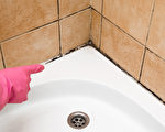 浴室、厨房是霉菌最喜欢的地方 3妙方除霉