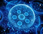 新研究：宇宙初期氣泡可能製造了暗物質