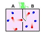 量子计算热力学新发现：麦克斯韦妖要复活？