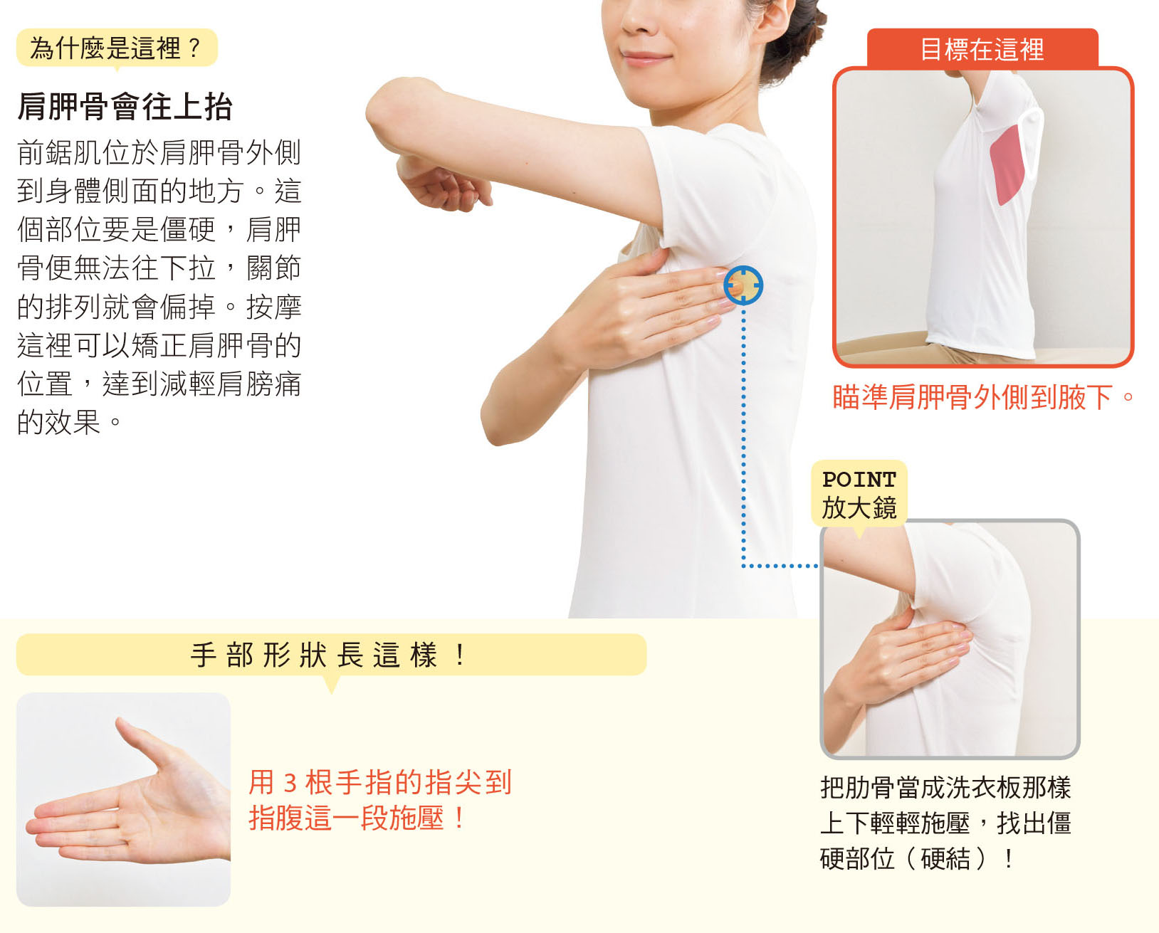PPT - 手太阴经络与腧穴 The Lung Meridian of Hand-taiyin PowerPoint Presentation ...