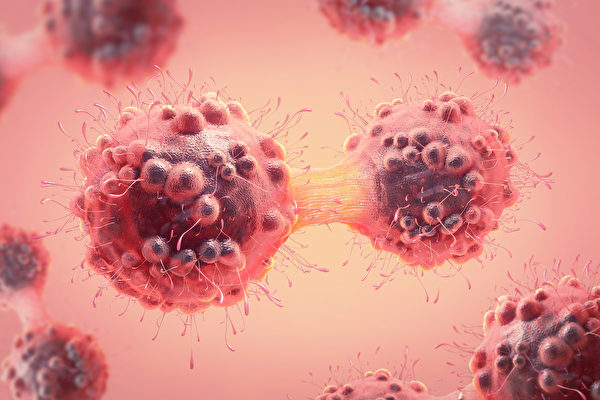 台灣中研院研發出新抗體EpAb2-6，可以抑制腫瘤生長和轉移。(Shutterstock)