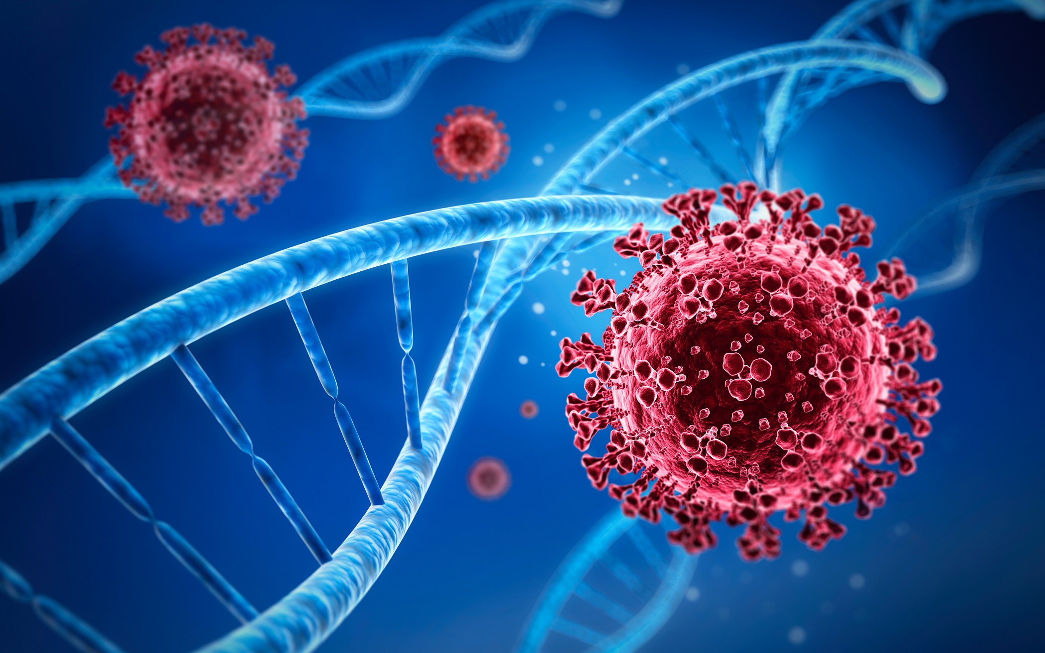 美國德克薩斯農工大學全球健康研究中心(GHRC)的科學家表示,他們發現了一種新的COVID-19變種,該變種顯示出更具傳染性菌株的跡象,該菌株會導致更嚴重疾病,並且似乎對抗體具有抵抗性。病毒示意圖。(ShutterStock)