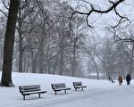 組圖：風雪中的紐約公園 如白色童話世界