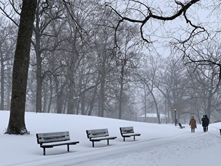 組圖 風雪中的紐約公園如白色童話世界 雪景 大紀元