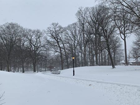 風雪中的凱辛娜公園，籠罩在銀色的世界中。