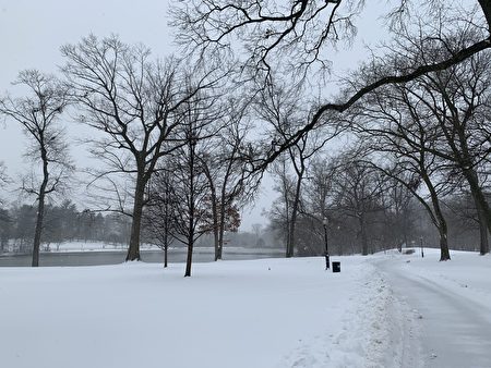 風雪中的凱辛娜公園，籠罩在銀色的世界中。