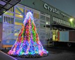 2.5万回收棒球  装置“希望之树”