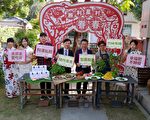屏东美食阿汉私厨 力推有机“圣罗勒茶”