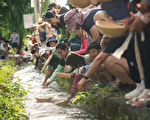 穿龍街村辦市集 蘿蔔糕大比拚