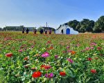 嘉義市花海節熱鬧開幕 幸福嘉義米健康發表
