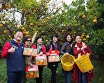 經典小鎮「博柑情」 峨眉農會推出年節活動