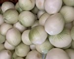 抗疫保健康?  彰化县政府推广当季洋葱入菜