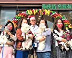 提高犬貓存活率  台灣首家寵物微創醫院開幕