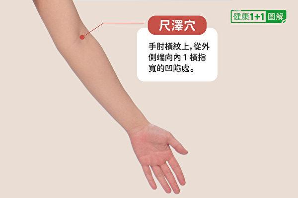 尺澤穴位於手肘橫紋上，從外側端向內1橫指寬的凹陷處。功效是清宣肺氣，瀉火降逆。（健康1+1／大紀元）