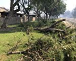 南加本週迎乾冷颳風天 注意防火防寒