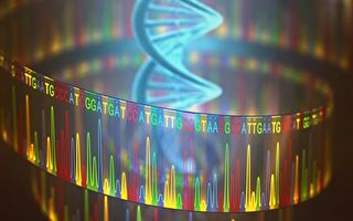 研究：关于基因转录过程生物教科书错了