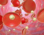 形變直至「爆炸」 研究發現納米金粒子殺菌機制