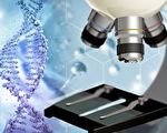 新發明外接穩定器 全自動升級超精準分子顯微鏡