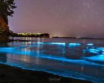 奧克蘭北部海灘現奇幻的發光海景