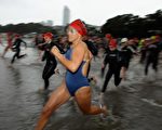 水中腸球菌超標 奧克蘭幾十個海灘禁止游泳