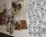中國赴美乘客攜燕窩未申報 抵JFK機場被罰款