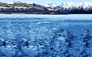 冬季奇观：落基山冰封气泡美景