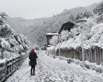 全台下雪地图一次掌握 超美银白世界