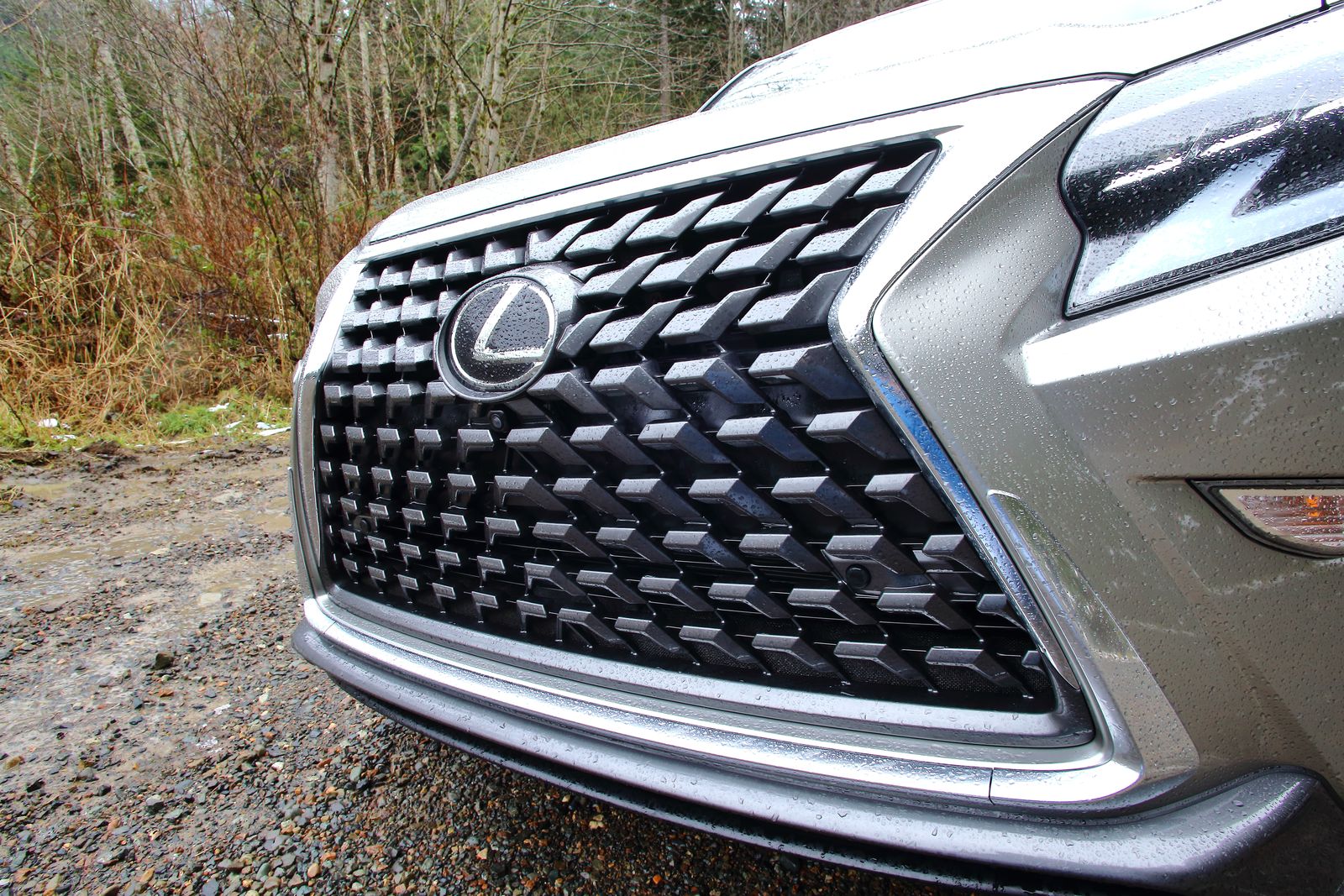 2021 Lexus GX 460。〈李奧／大紀元〉