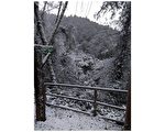 桃園拉拉山神木區飄雪  遊客賞雪樂農民憂農損