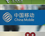 中共立法不甩国际禁令 分析：无实质用处
