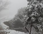 寒流一波波又下雪  拉拉山雪霧鬧部落再降瑞雪