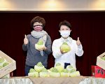 疫情阻外销中国 台东凤梨释迦急转内销