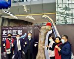 兰博馆开馆十年 首次展出“史前巨兽”展