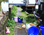 玉管處修正禁止事項 維護生態及遊憩品質