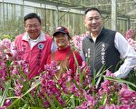 魚池虎頭蘭盛開 營造年節氣氛福氣滿滿