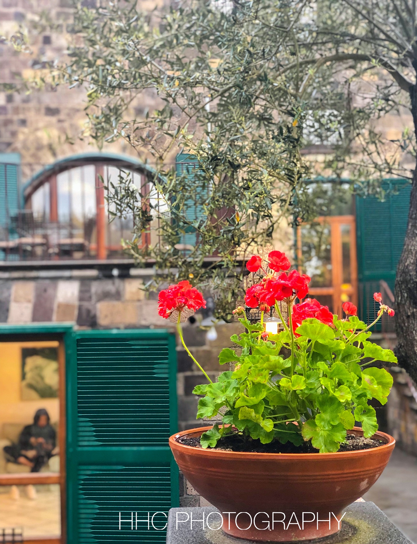 雨中別墅庭院。（圖片/周海倫提供）