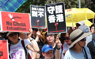 香港抗爭者逃往加國：離開是為了更好地堅持