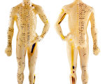 臂丛神经痛（Brachial Neuralgia）问与答