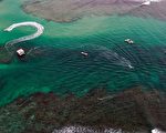 侦察澳邻国海域 中共水下滑翔机被渔民捕获