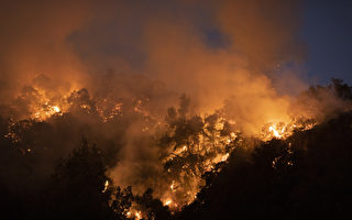 聖安娜風促千橡市爆野火 疏散居民已返家