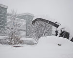 日本北陸東北大雪釀災 致11死數百人受傷
